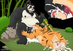  bear blush chubby cum excessivecum feline lovkuma male male/male mammal panda pandaren tiger video_games warcraft world_of_warcraft 