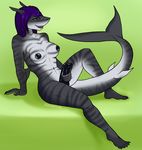  anthro araequinox breasts erection fish hair hemipenes intersex lakritze long_hair looking_at_viewer marine multi_penis nipples nude penis portrait shark sitting solo spread_legs spreading 