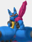  anus balls ducati looking_at_viewer lucario male nintendo pok&eacute;mon presenting red_eyes sitting solo video_games 