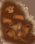  dakota-bear disney feline lion male mammal mufasa solo the_lion_king 