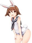  animal_ears bad_id bad_pixiv_id blush brown_eyes brown_hair bunny_ears bunny_girl bunny_tail fake_animal_ears kinakomoti looking_at_viewer miyafuji_yoshika open_mouth sailor_collar school_swimsuit short_hair simple_background sleeveless smile solo strike_witches swimsuit tail white_background world_witches_series 