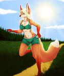  2015 anthro bottle bra canine clothing dafka female forest green_eyes looking_at_viewer mammal necklace running shorts smile solo tree underwear 