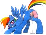  2015 balls blush butt charlescaw cum cum_in_pussy cum_inside cutie_mark disembodied_penis duo equine female feral friendship_is_magic hair looking_at_viewer male male/female mammal multicolored_hair my_little_pony pegasus penetration penis plain_background pussy rainbow_dash_(mlp) rainbow_hair solo_focus vaginal vaginal_penetration white_background wings 