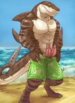  anthro beach biceps clothing digitigrade erection explicital fish fishbook5 male marine multi_penis muscles outside penis poking_out richter_(fishbook5) sea seaside shark solo standing swimsuit tigershark water 