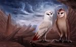  avian bird brown_eyes day digital_media_(artwork) duo noquelle outside owl sky standing 