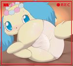  butt canine dog female jewelpet mammal sapphie sapphire 砂鉄 