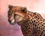  ambiguous_gender black_nose cheetah digital_media_(artwork) feline feral fur mammal noquelle simple_background solo spots spotted_fur whiskers 