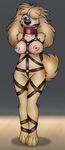  anthro auction bdsm bondage bound breasts canine female folwilliar mammal peg solo 