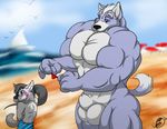  anthro blush canine duo juano male mammal muscles nintendo pecs penis star_fox video_games wolf wolf_o&#039;donnell 