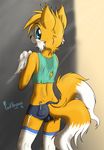  2015 anthro bulge canine clothing fox male mammal miles_prower punk-pegasus solo sonic_(series) tight_clothing 