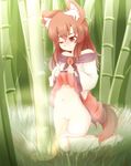  akatsuki_no_guuru animal_ears bamboo bamboo_forest bare_shoulders barefoot belly brooch brown_eyes brown_hair forest highres imaizumi_kagerou jewelry kneeling long_sleeves nature navel off_shoulder one_eye_closed panties panty_pull pee peeing pussy shirt skirt skirt_lift solo tail touhou uncensored underwear wide_sleeves wolf_ears wolf_tail 