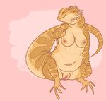  anthro areola bearded_dragon belly breasts brown_scales chubby clitoris eyes_closed female lizard navel nipples nude obese overweight pink_background plain_background pussy qorm reptile scalie sitting smile solo spread_legs spreading tan_scales 