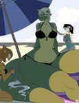  2015 beach big_eyes bikini black_hair blonde_hair blue_eyes breasts cat clothing dragon eyewear feline female flower fur green_scales hair human mammal open_mouth orange_fur orange_hair plant seaside shyguy9 sitting smile sunglasses swimsuit umbrella wide_hips yellow_scales 