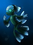  ambiguous_gender barreleye brain fish juno marine nyausi 