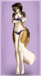  anthro border_collie bra breasts canine clothing dog female fur hair hax-the-monster looking_at_viewer mammal panties smile solo standing underwear white_fur 