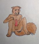  anus butt canine knot male mammal muscles nude penis solo werew0lfyiff wolf wolvy 