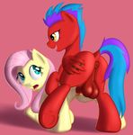  absurd_res anus balls cutie_mark duo equine fan_character female feral fluttershy_(mlp) friendship_is_magic hair hi_res horse long_hair mammal my_little_pony pegasus penetration penis pony pussy sex timberrwolf vaginal vaginal_penetration vertex wings 