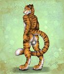  2015 anthro anus backsack balls butt digitigrade feline green_eyes looking_at_viewer looking_back male mammal presenting solo staggard tiger 