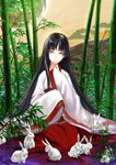 alternate_costume animal bamboo bamboo_forest black_hair brown_eyes bunny chromatic_aberration forest full_moon houraisan_kaguya japanese_clothes leaf long_hair long_sleeves looking_at_viewer moon nature shirt sitting skirt smile sw_(2311550438) too_many too_many_bunnies touhou very_long_hair wide_sleeves 