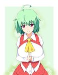  ahoge ascot breasts butter-t floral_background green_hair hands_together kazami_yuuka large_breasts plaid plaid_skirt red_eyes shirt short_hair skirt smile solo touhou 