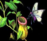  bug butterfly butterfree gen_1_pokemon insect nature no_humans plant pokemon pokemon_(creature) realistic victreebel weepinbell 
