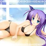  animal_ears bikini blue_eyes fang little_busters! long_hair lying nikoo on_side purple_hair sasasegawa_sasami side-tie_bikini swimsuit twintails 