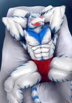  anthro armpits arms_behind_head bedroom blush bulge canine clothing condom feline hybrid male mammal muscles ninjatertel solo sweat tiger underwear wolf 