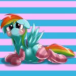  2015 behind-space blush clothing cute equine female feral friendship_is_magic mammal my_little_pony pegasus rainbow_dash_(mlp) socks solo wings 