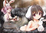  alcohol animal animal_ears animal_on_head bathing bottle breasts bunny bunny_ears bunny_on_head bunny_tail choko_(cup) collarbone commentary cup folded_ponytail hair_up inaba_tewi kue large_breasts long_hair long_sleeves multiple_girls nude on_head onsen open_mouth pink_hair reisen_udongein_inaba sake sake_bottle sitting smile tail tokkuri touhou tray water 