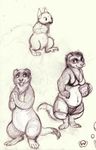  2015 ball bra breasts chubby clothed clothing female ferret mammal mustelid oddwilds open_mouth paws pencil_(artwork) plain_background rodent shorts sketch smile squirrel traditional_media_(artwork) underwear 