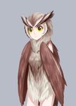  bird black_eyes commentary eyebrows feathered_wings feathers harpy highres jiffic monster_girl no_hands original owl smile solo thick_eyebrows wings yellow_sclera 