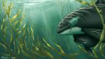  2015 ambiguous_gender bubble cetacean dolorcin feral hi_res kelp mammal marine orca scar size_difference sunlight underwater water whale 