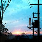  bird black_hair copyright_request dark dress from_behind kuma_panda long_hair on_top_of_pole power_lines scenery sky solo sunset telephone_pole transformer tree 