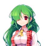  ascot ebizome empty_eyes green_hair hair_over_one_eye highres kazami_yuuka kazami_yuuka_(pc-98) long_hair plaid plaid_vest red_eyes smile solo touhou touhou_(pc-98) vest 