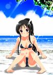  akiyama_mio bikini black_eyes black_hair highres k-on! kurimuzon long_hair ponytail sitting swimsuit 