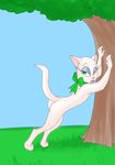  anthro butt cat collar feline female fur green_eyes hamsy mammal pink_nose ribbons tom_and_jerry toodles_galore tree white_fur 