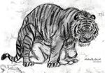  bestiality dakota-bear feline feral human interspecies male mammal tiger 