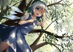  blue_dress blue_eyes blue_hair cirno dappled_sunlight day dress dutch_angle hand_on_own_chest hand_to_forehead hot one_eye_closed open_mouth pokio ribbon shading_eyes short_hair solo sunlight touhou tree wings 