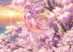  bangs bare_shoulders blue_eyes cherry_blossoms cloud cloudy_sky detached_sleeves hair_ornament long_hair original outdoors outstretched_arms pink_hair sky smile solo sunset tree uehara_yukihiko water 