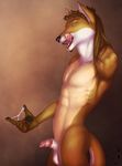  canine dingo facial_hair goatee green_eyes licking male mammal mullet nude precum semi-erection sheath the_cherret_awaits tongue tongue_out 