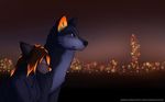  2015 anthro bioluminescence black_nose blue_fur canine city cityscape clothed clothing couple cute duo eyes_closed female feral fur glowing green_eyes grey_fur hair happy kotoua lights male mammal night orange_nose outside pointy_ears sitting sky smile wolf 