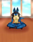  abs absurd_res anthro breasts canine female hi_res lucario mammal meditation nintendo nipples nude pok&eacute;mon pussy skydog solo video_games 