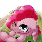  behind-space blush cute duo earth_pony equine female feral friendship_is_magic grass horse human mammal my_little_pony one_eye_closed pinkie_pie_(mlp) pony 