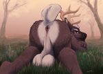  2015 absurd_res all_fours antlers anus backsack balls big_balls butt cervine hi_res horn looking_back male mammal nude perineum presenting presenting_hindquarters rear_view reindeer snowfoxatheart solo 