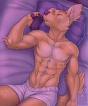  abs bed biceps boxers canine cellphone chase_(retriever) clothed clothing dog eyes_closed fur half-dressed lying male mammal muscles night on_back pecs phone pillow ripped sleeping solo toned topless underwear vallhund 