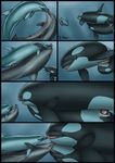  anus blue_eyes bubble cetacean comic dolorcin dolphin duo eyes_closed fellatio female feral feral_on_feral green_eyes group hi_res interspecies kissing larger_male licking male male/female mammal marine open_mouth oral orca penetration penis pussy sex size_difference smaller_female smaller_male tapering_penis tongue tongue_out underwater vaginal vaginal_penetration water whale 