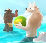  abs anthro ball biceps canine chest_tuft clothing dragon fur looking_at_viewer male mammal muscles nipples o-ro pecs seaside solo summer swimsuit tuft white_wolf wolf 
