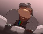  chubby clothing hippopotamus julian kazecat male mammal moobs navel obese overweight shiny solo speedo swimsuit 