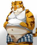  animated anthro balls blush boxers chubby clothing cum cumshot feline hands-free humanoid_penis male male/male mammal muscles nikiciy orgasm pecs penis poking_out shirt shirt_lift tank_top tiger underwear underwear_down 