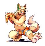  2015 boxer_briefs bulge chubby clothing fluffy food male one_eye_closed pizza solo super-tuler teeth underwear wink 